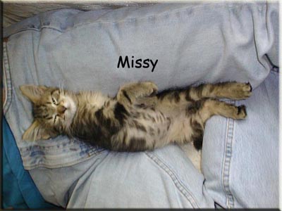 Missy