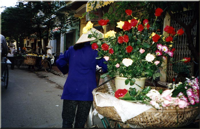 Woman selling Roses in the streets of Hanoi.