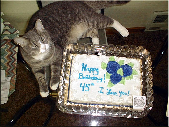 Holly Bear with my birthday cake.